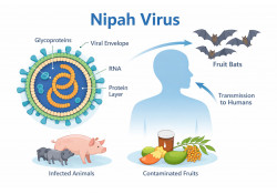 СЭРЭМЖЛҮҮЛЭГ